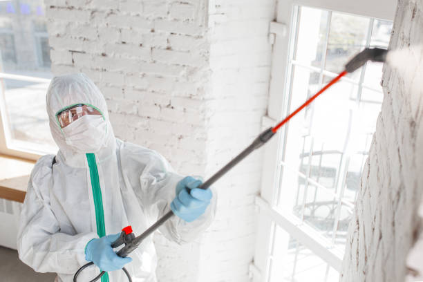 Best Forensic Mold Investigation  in Lake Winnebago, MO
