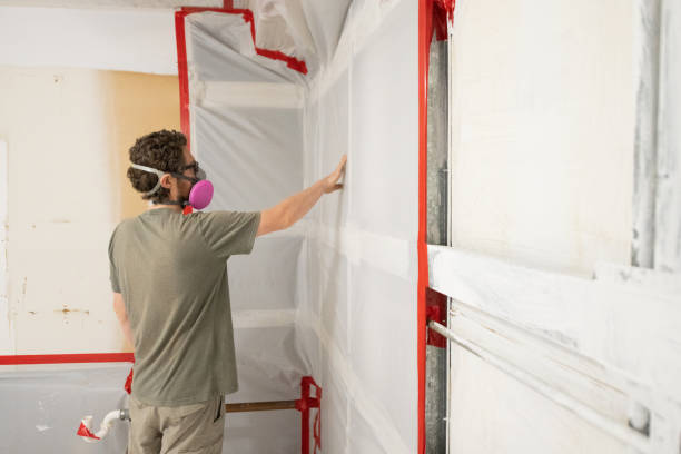 Best Real Estate Mold Inspection  in Lake Winnebago, MO