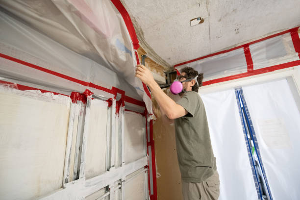 Best Mold Odor Removal Services  in Lake Winnebago, MO