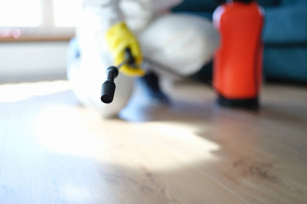 Best Dehumidification Services  in Lake Winnebago, MO