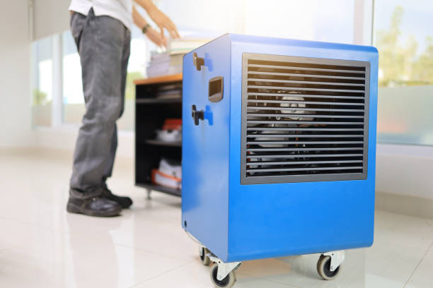 Best Mold Remediation for Vacation Homes  in Lake Winnebago, MO
